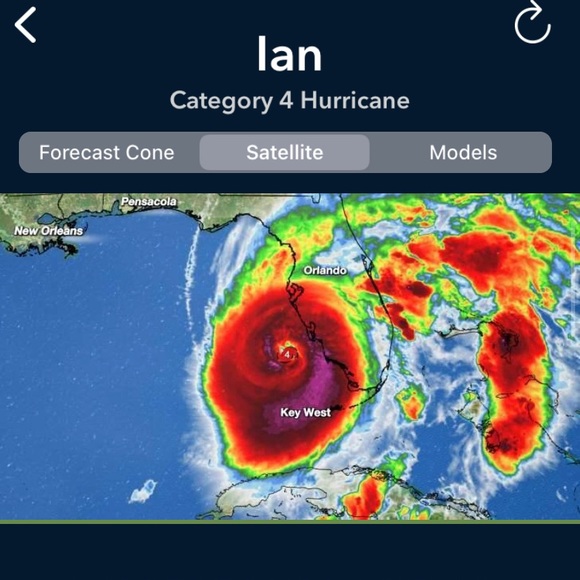 SORRY PLS EXPECT DELAYS - Picture 3 of 3